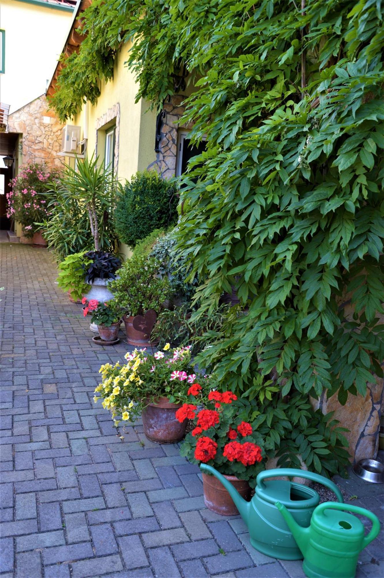 Ferienwohnung Koppi Pamhagen Exterior foto