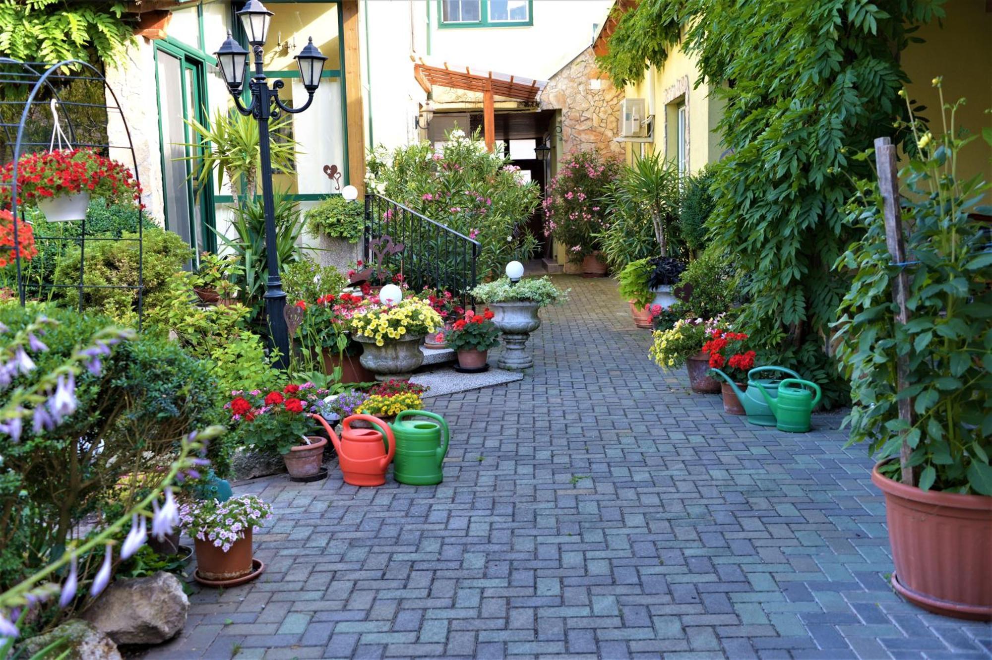 Ferienwohnung Koppi Pamhagen Exterior foto