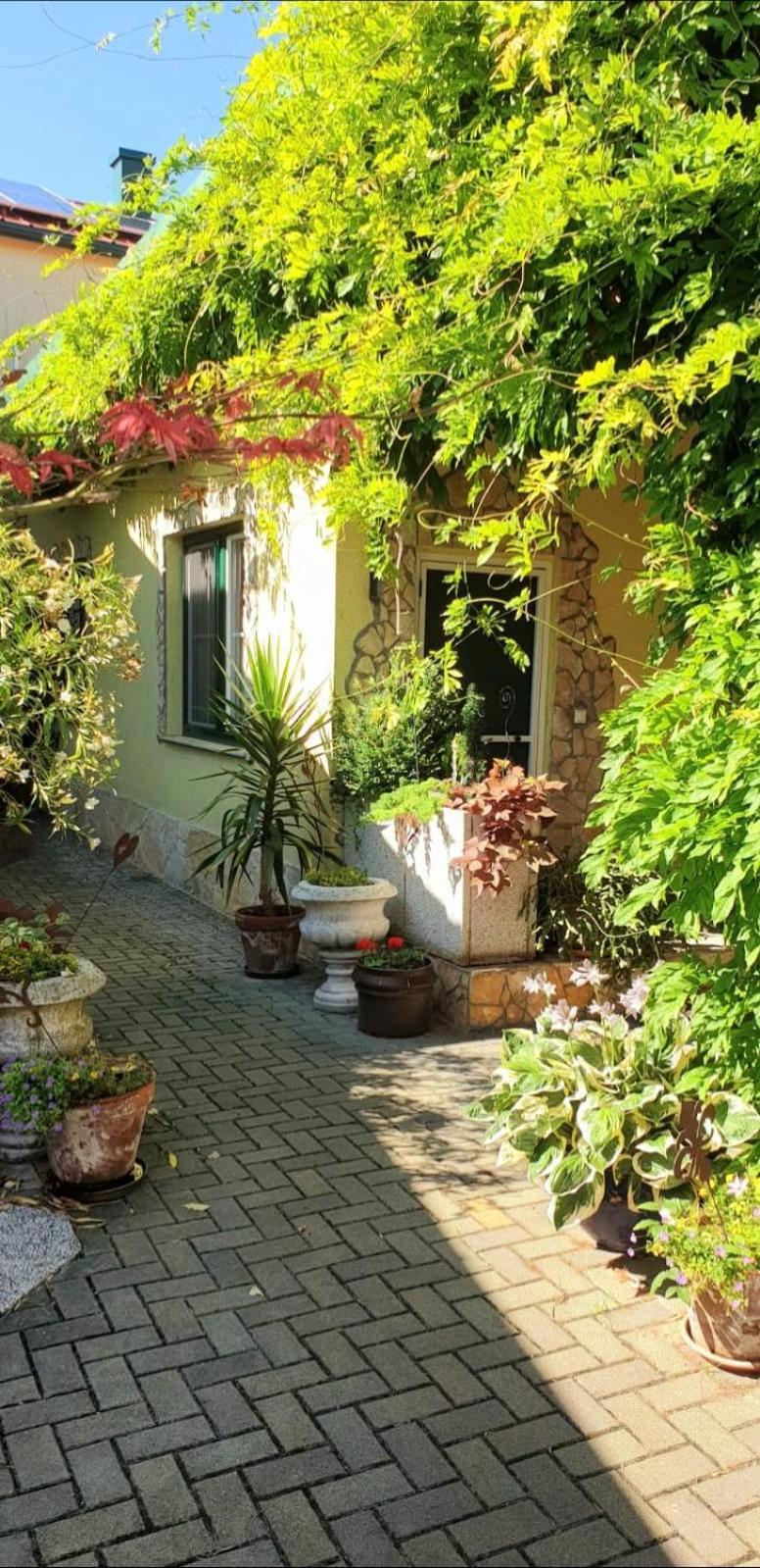Ferienwohnung Koppi Pamhagen Exterior foto