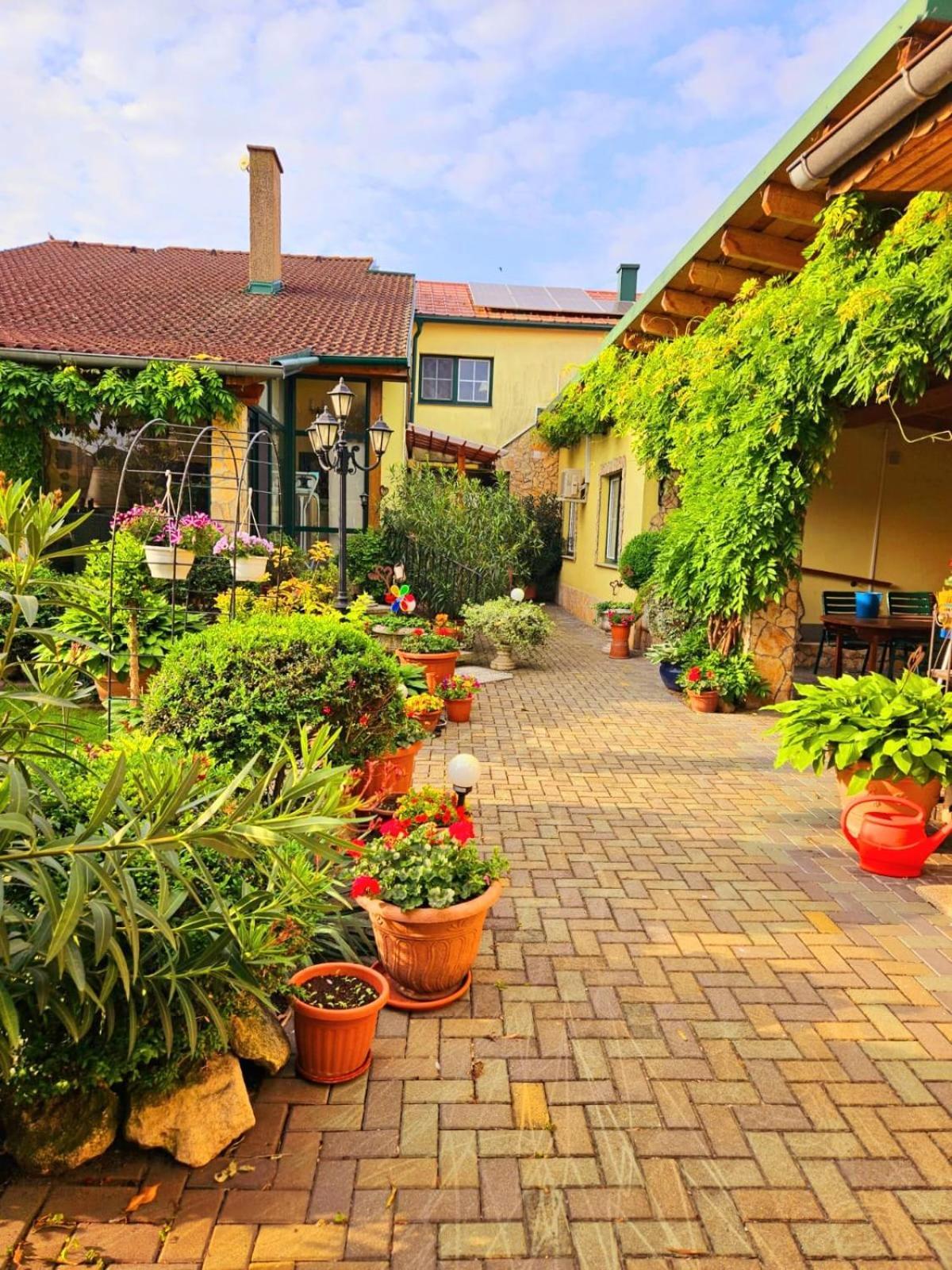 Ferienwohnung Koppi Pamhagen Exterior foto