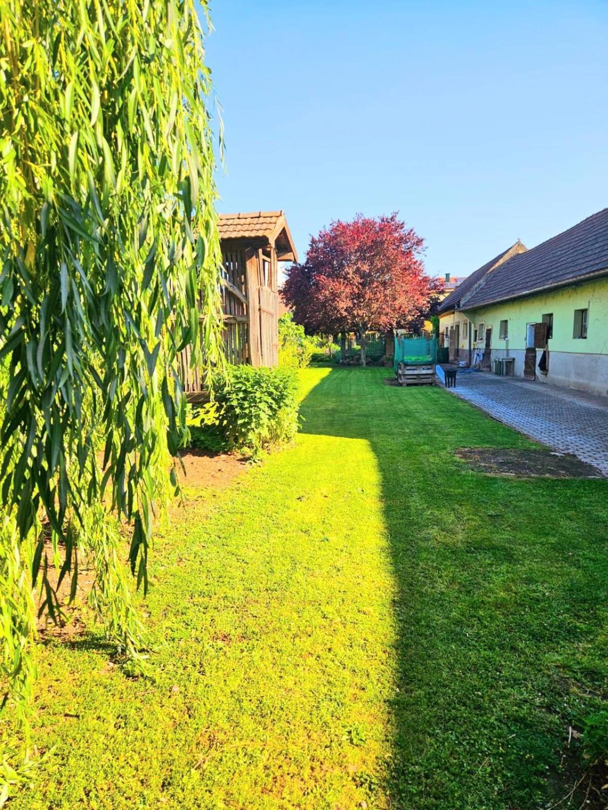Ferienwohnung Koppi Pamhagen Exterior foto